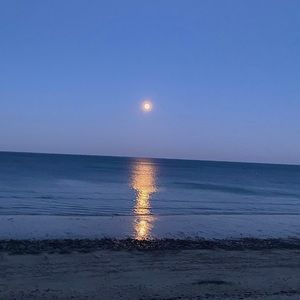 Meet your Posher, Paige